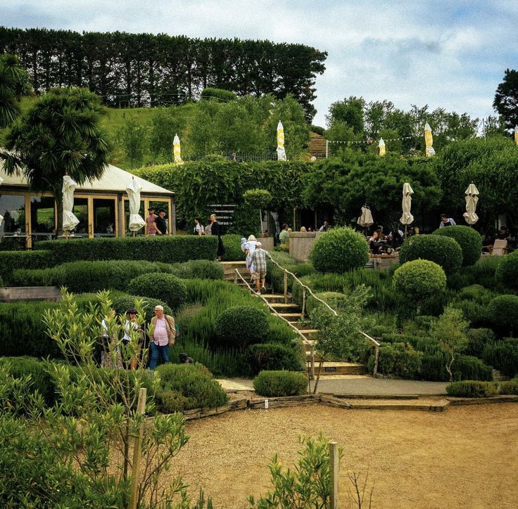 Mudbrick Restaurant & Vineyard